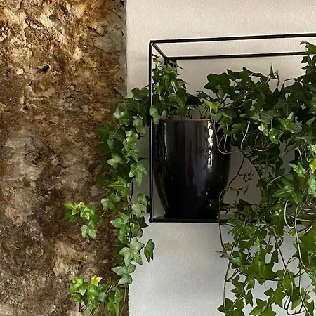 Apartment Luxury - Torre *